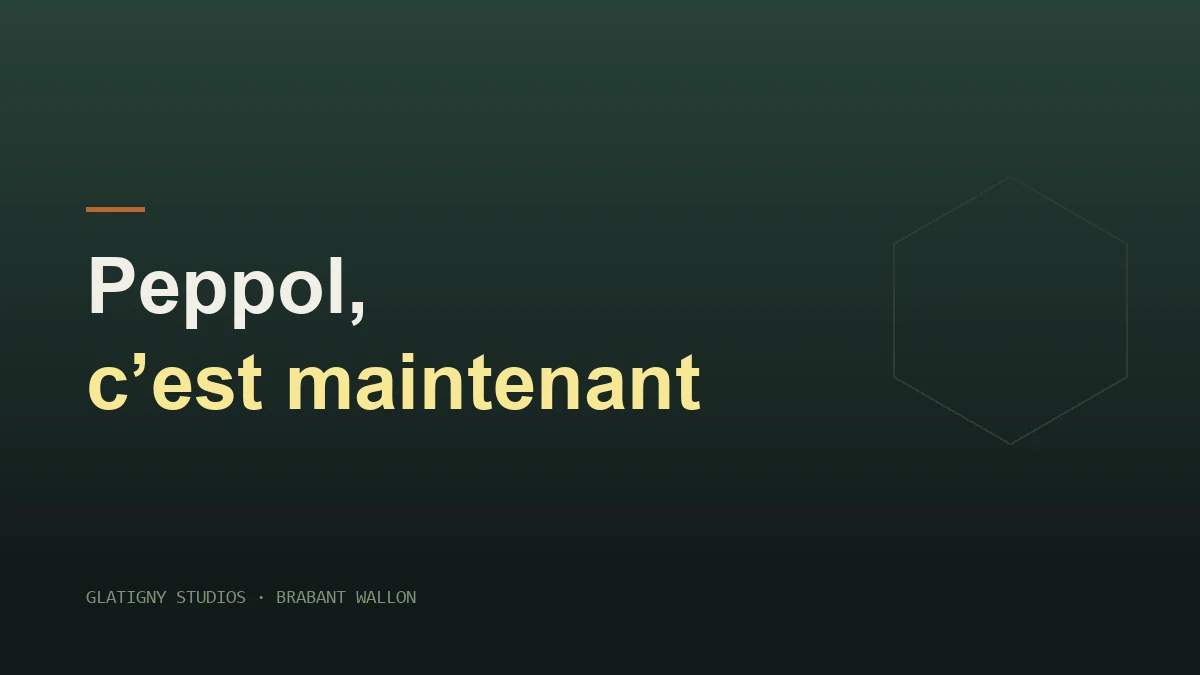 Peppol : où vous en êtes vraiment, neuf mois après l'obligation